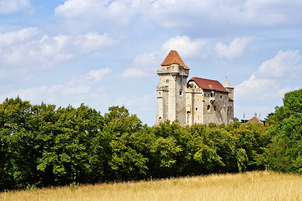 Maria Enzersdorf, Austria – August 3, 2011: Liechtenstein castle in Maria Enzersdorf near Vienna in Lower Austria is a medieval castle, which was restored in the Romantic period according to the prevailing taste of this time. It is one of the most famous “ideal castles” in Austria.