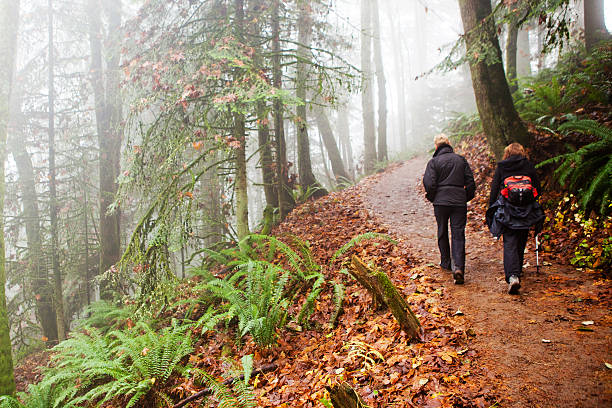 Portland, Oregon, USA - November 28, 2011: Two women hike through a foggy forest in Portland, Oregon on a cold winter day.