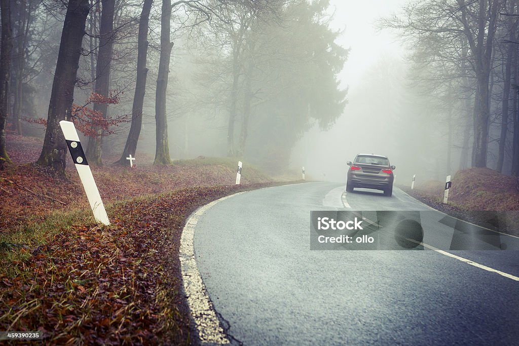 Camino a través del bosque - Foto de stock de Aire libre libre de derechos