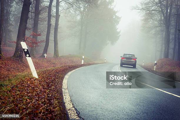 Foto de Estrada Através Da Floresta e mais fotos de stock de Bosque - Floresta - Bosque - Floresta, Carro, Contraluz