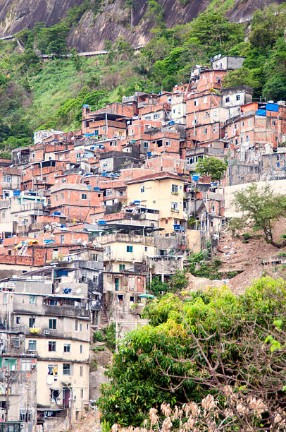 istock Rocinha favela, the largest in Rio de Janeiro 459391933
