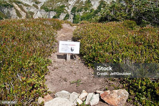 Señal Para Aconsejar De Trail Cierre Foto de stock y más banco de imágenes de Aire libre - Aire libre, América del norte, Belleza de la naturaleza