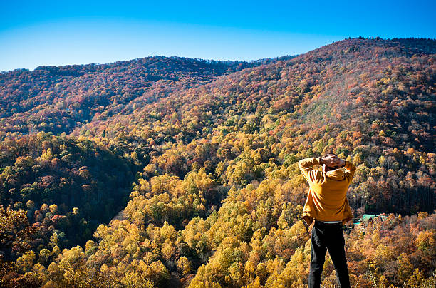 tendo em vista, montanhas blue ridge, carolina do norte, eua - famous place appalachian mountains autumn awe imagens e fotografias de stock