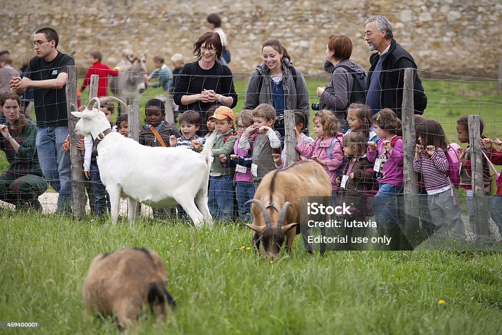 Adultos y niños vistazo a los animales en las granjas Marii-Antuanetty - Foto de stock de Acariciar a un animal libre de derechos