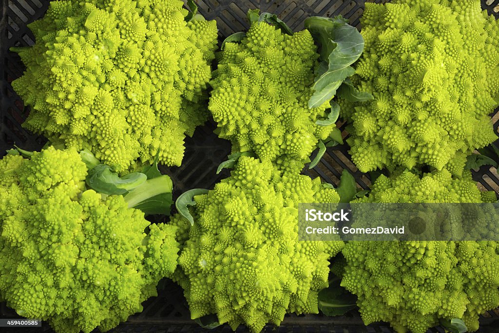 Primer plano de probar orgánicos coliflor Broccoli - Foto de stock de Agricultura libre de derechos