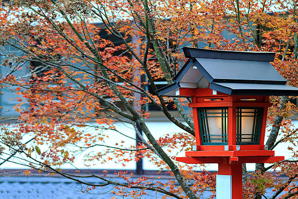 istock Autumn Japanese garden with maple 459405175