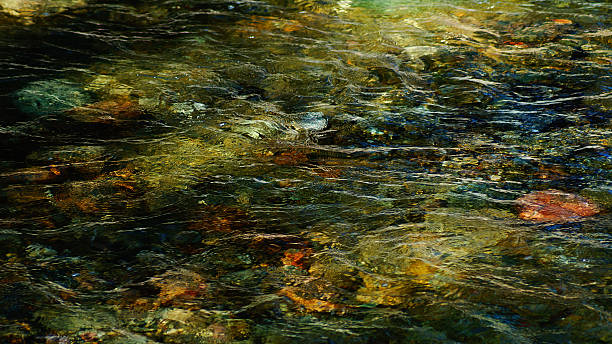 istock Underwater Multicolored rock and pebbles in clear pond 459410433