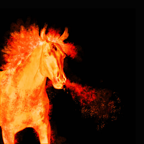 istock burning running horse isolated on black 459418981