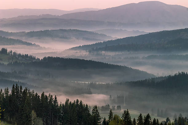 istock Fog in the mountains at sunrise 459424679