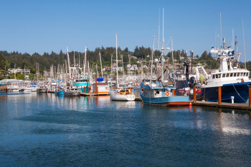 Boats docked in Newport, Oregon