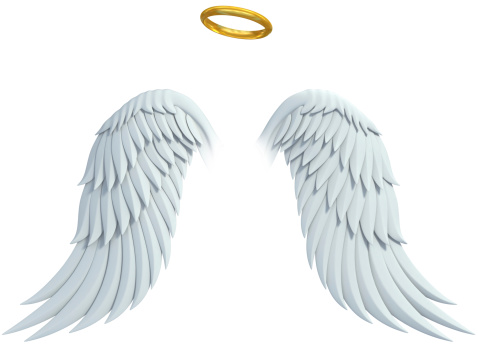 angel design elements - wings and golden halo isolated on the white background