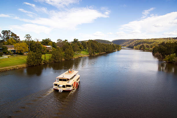 Penrith - Nepean Belle sails down river A classic paddlewheeler makes its way down the Nepean River, passing houses in Penrith along the way. paddleboat stock pictures, royalty-free photos & images