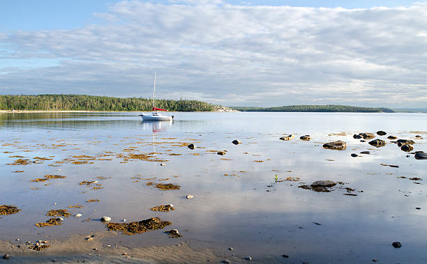 istock Island in the White sea 459434889