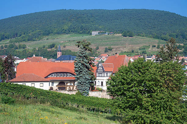 istock Sankt Martin,German Wine Route,Germany 459435749