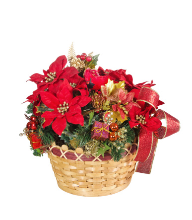 Festive display of holiday flower basket, isolated over white