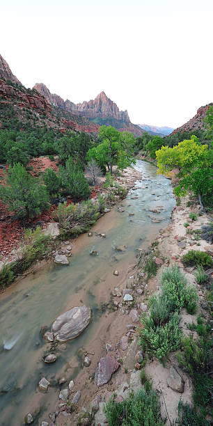 istock Beautiful Zion National Park Landscape 459440941