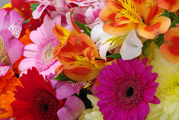 istock background of the flowers 459441619