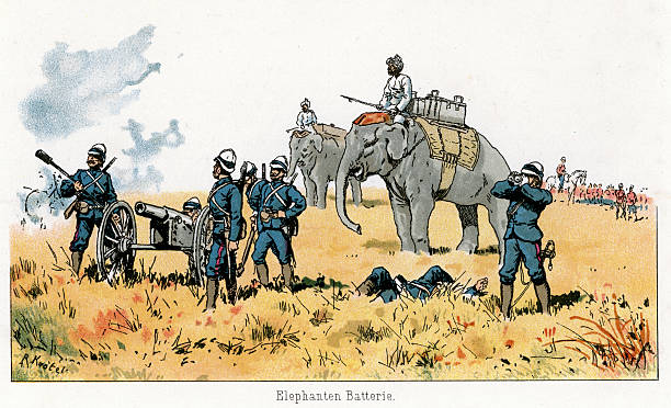 ilustrações de stock, clip art, desenhos animados e ícones de império britânico militar-elefante artillery - british empire illustrations