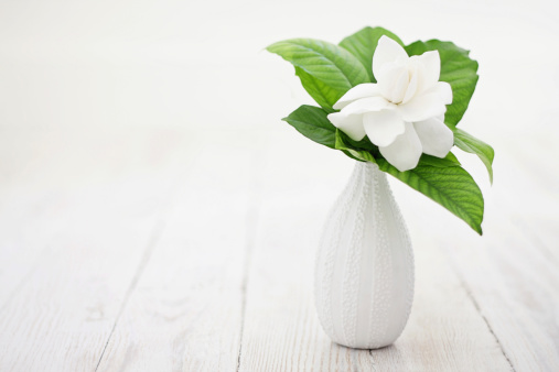 A DSLR photo of a white gardenia flower with green leaves on a white ceramic vase. The vase stands on the right side on white wood. Selective focus on the flower with copy space on the left. Natural light.