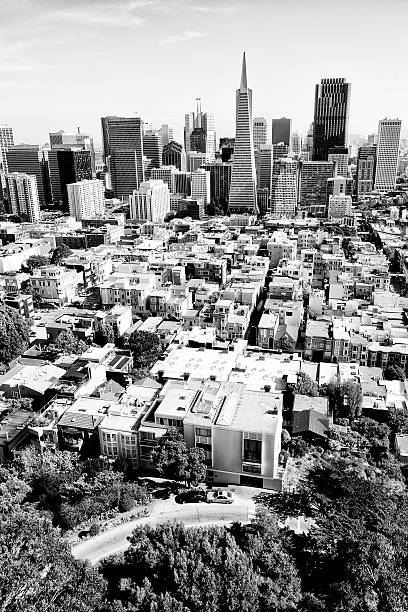 istock Skyline, San Francisco. Aerial View. Black and White 459446893
