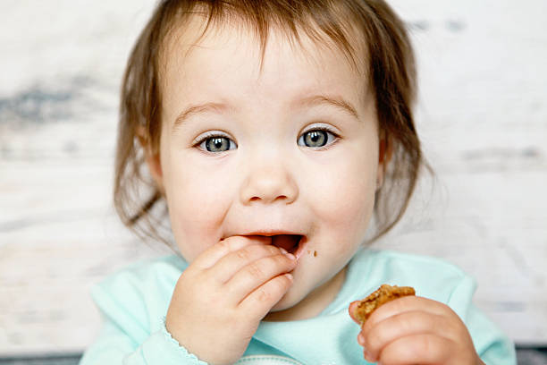 Baby girl in blue dress eating a cookie stock photo