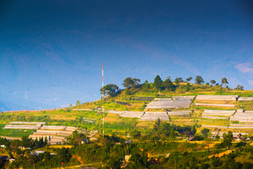 Beautiful sunshine at misty morning mountains at north thailand ( Doi Angkhang )