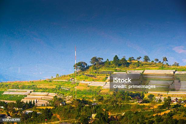 Beautiful Sunshine At Misty Morning Mountains Stock Photo - Download Image Now - Chiang Mai Province, Agricultural Field, Agriculture