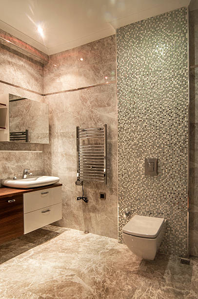 istock Modern luxury tiled bathroom with wall mounted toilet 459448537