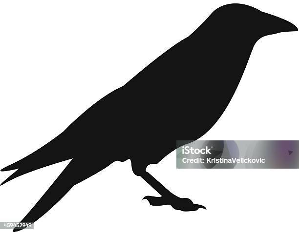 Crow Stock Illustration - Download Image Now - Raven - Bird, Crow - Bird, Black Color