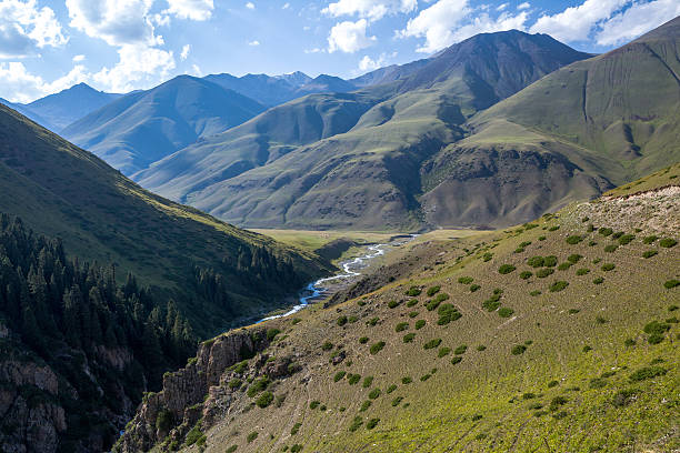 Valley of Chong-Kemin river. Kyrgyzstan stock photo