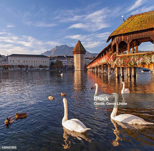 Lucerne The Chapel Bridge Stock Photo - Download Image Now - Bird, Blue, Bridge - Built Structure