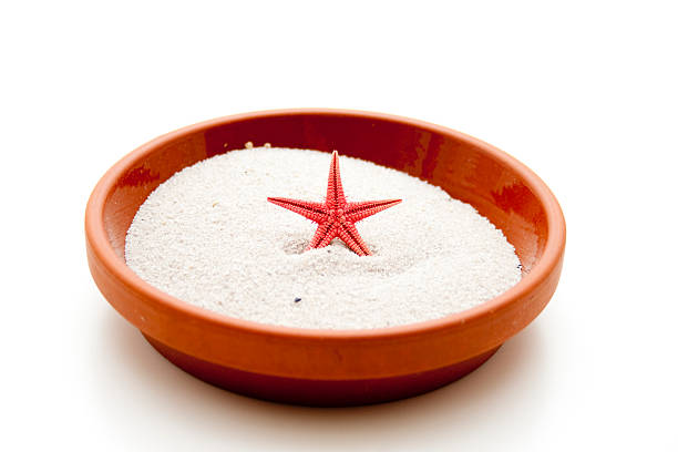 Lake star in the sand and in the unterplate