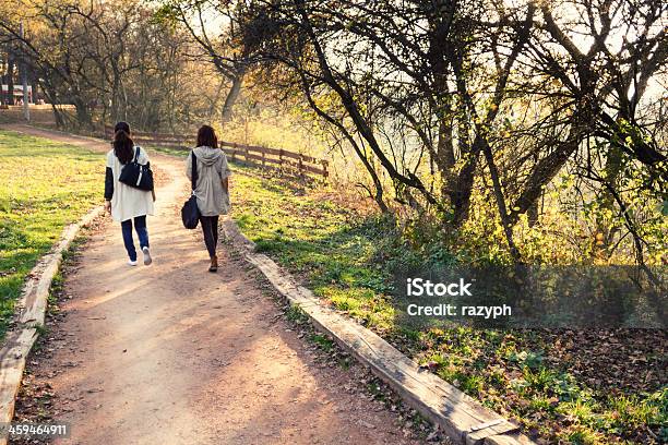 Herbst Spaziergang In Einem Park Stockfoto und mehr Bilder von Braun - Braun, Einspurige Straße, Entspannung