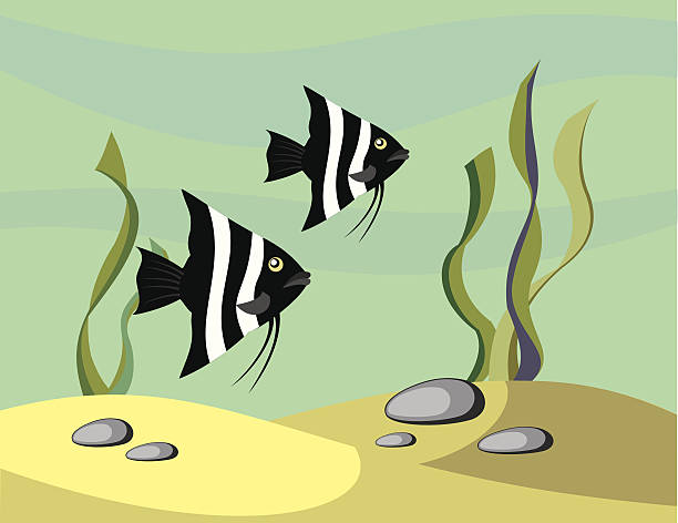 fish and sea vector art illustration