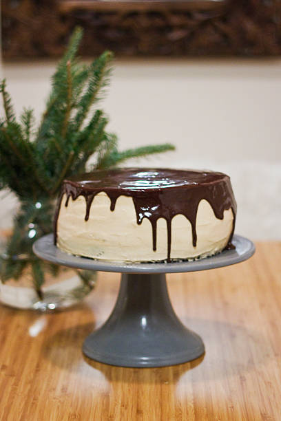 Chocolate Peanut Butter Cake stock photo