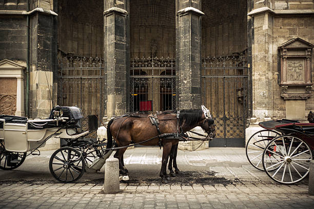 istock Horse carriage outside St. Stephen's Cathedral in Vienna, Austria 459471377