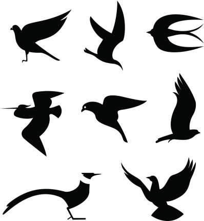 Vector Illustrations of Birds icons (eps 8).