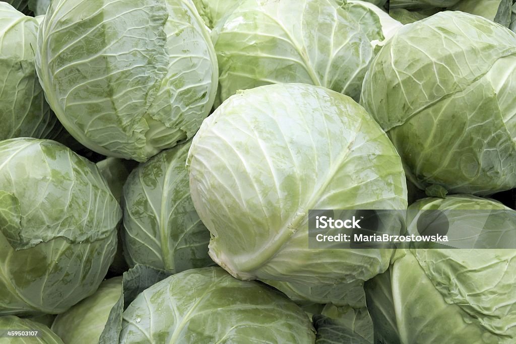 cabbages Cabbage Stock Photo