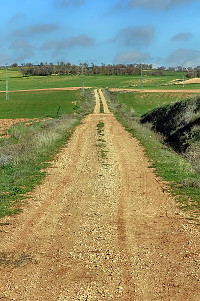 istock perspective dirt road in the countryside 459503547