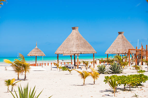 istock Luxury hotel at tropical resort on ocean shore with palm 459512491