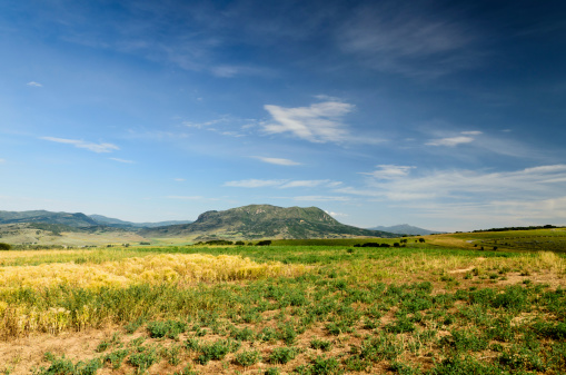 Wide angle landscape of Elk Mountain, known as Sleeping Giant in the distance. Bright blue sky in the summer at Steamboat Springs.