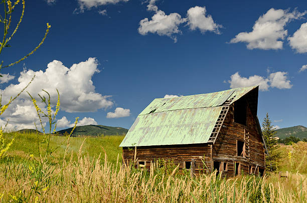 Old Rundown Barn in Colorado stock photo