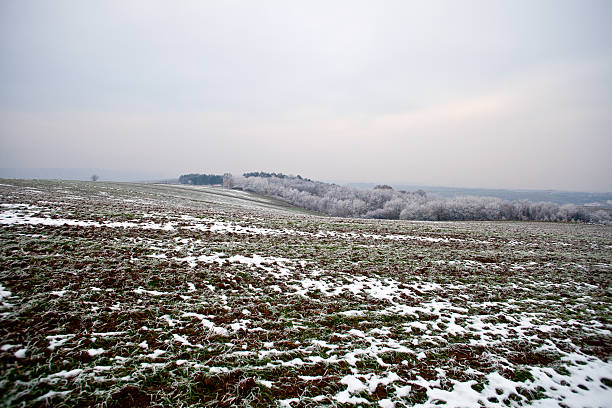 Zimowy krajobraz – zdjęcie