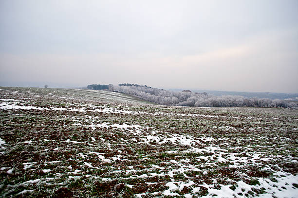 Paisagem de Inverno - fotografia de stock