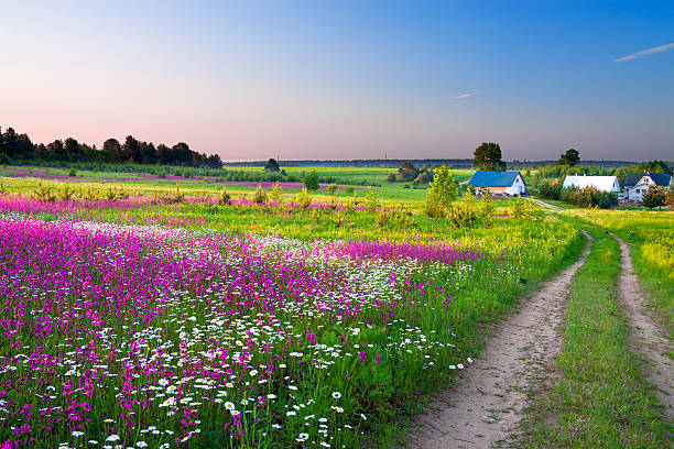 istock landscape  the road and a farm 459521227