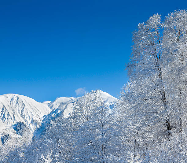 istock Beautiful landscape in mountains 459521537