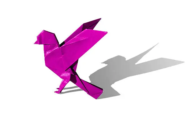 Photo of Purple Origami bird robin isoated on white