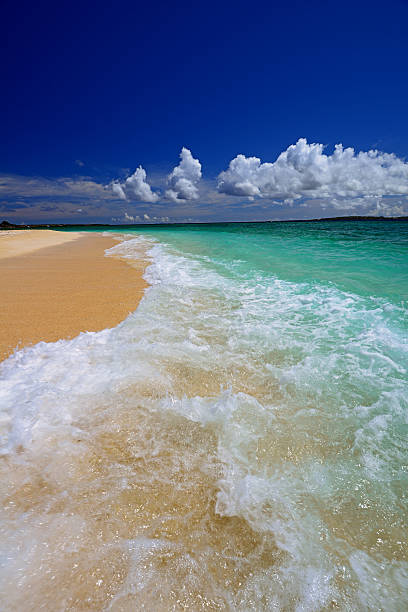 istock Beautiful beach in Okinawa 459525067