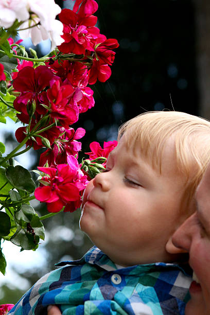 istock Take time to smell the flowers! 459527177