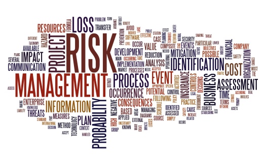 Risk management concept in tag cloud isolated on white